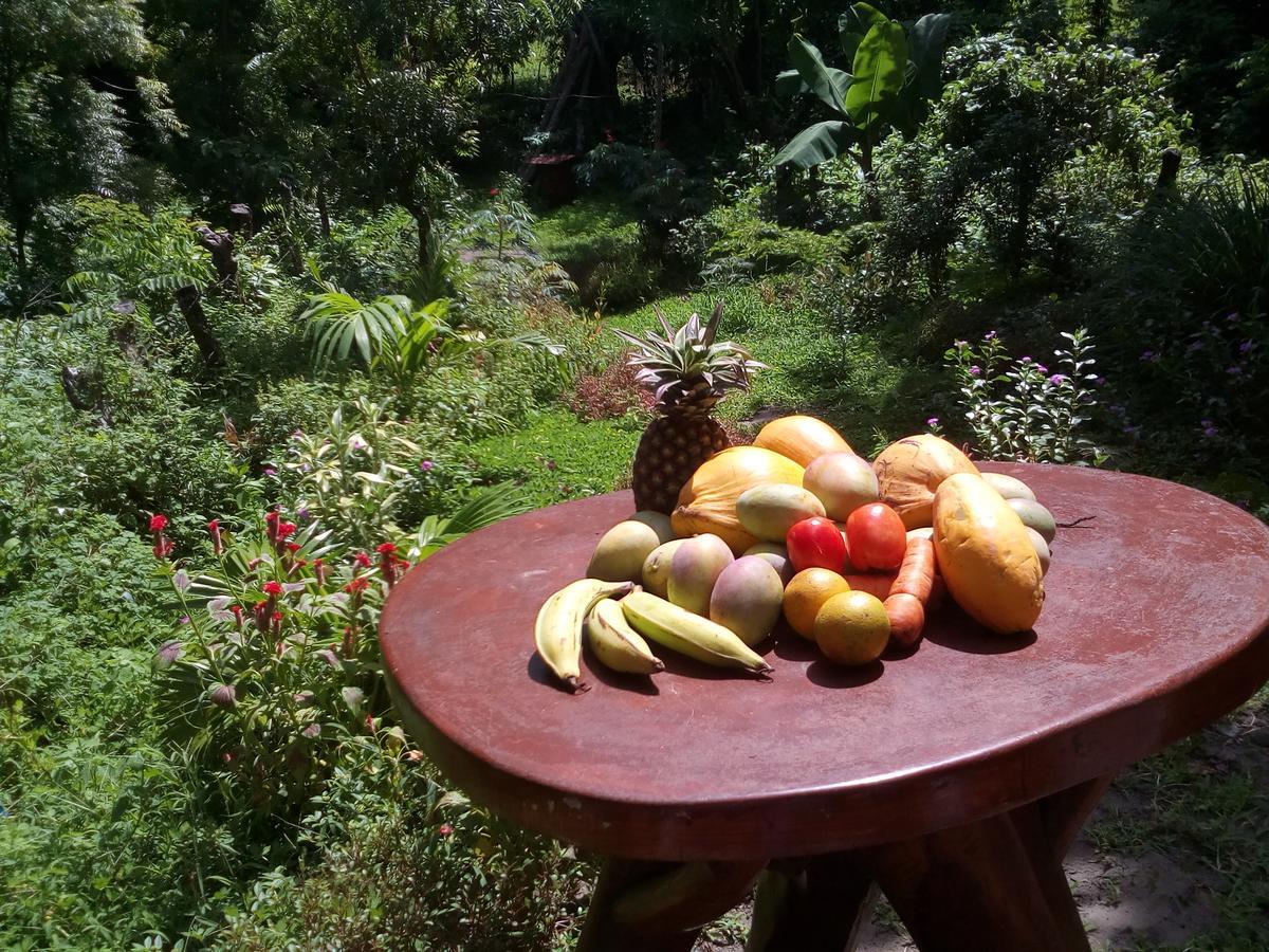 Beach Cabin Ometepe Altagracia Dış mekan fotoğraf